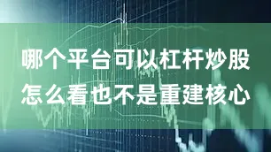 哪个平台可以杠杆炒股怎么看也不是重建核心
