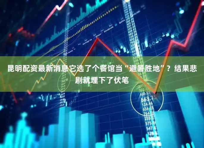 昆明配资最新消息它选了个餐馆当“避暑胜地”？结果悲剧就埋下了伏笔