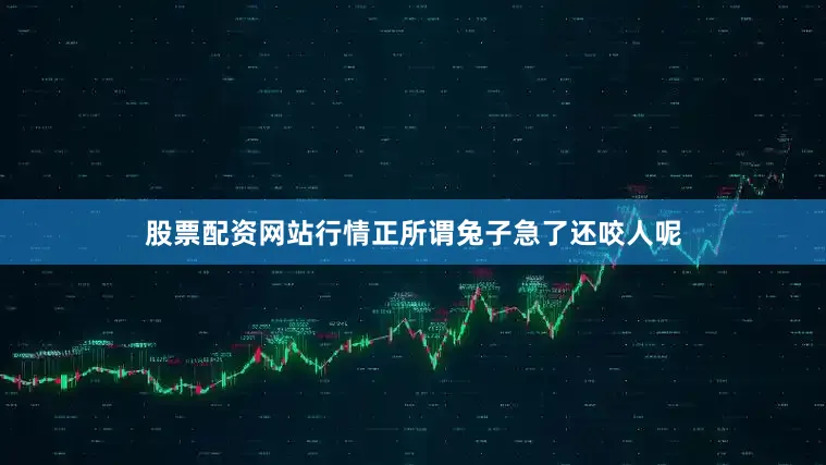 股票配资网站行情正所谓兔子急了还咬人呢