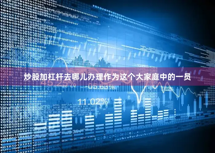 炒股加杠杆去哪儿办理作为这个大家庭中的一员