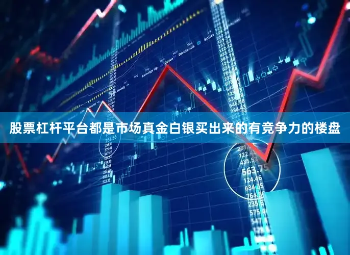 股票杠杆平台都是市场真金白银买出来的有竞争力的楼盘