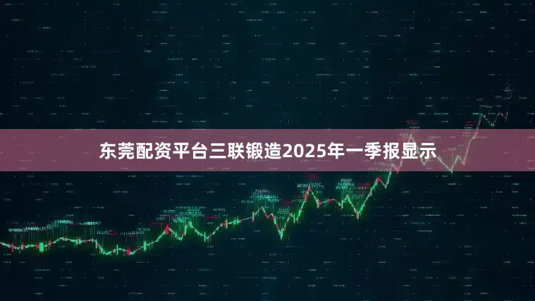 东莞配资平台三联锻造2025年一季报显示