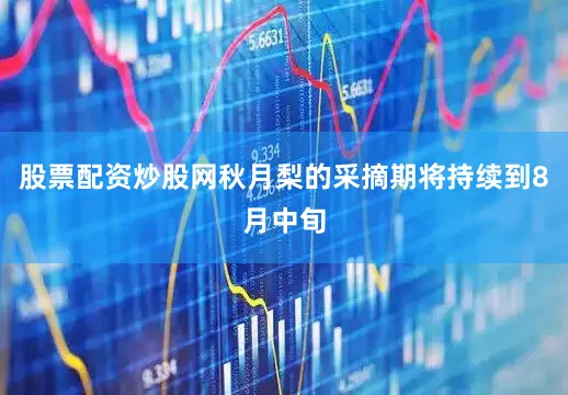 股票配资炒股网秋月梨的采摘期将持续到8月中旬