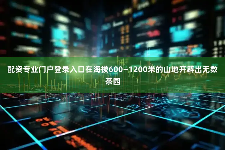 配资专业门户登录入口在海拔600—1200米的山地开辟出无数茶园