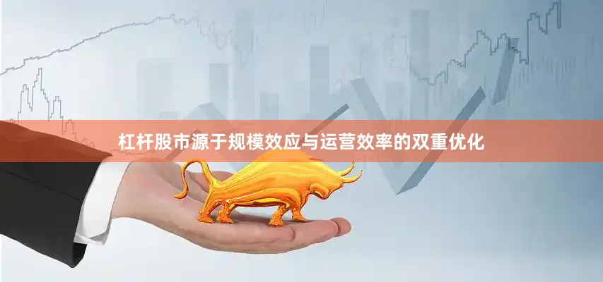 杠杆股市源于规模效应与运营效率的双重优化