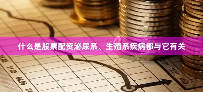 什么是股票配资泌尿系、生殖系疾病都与它有关